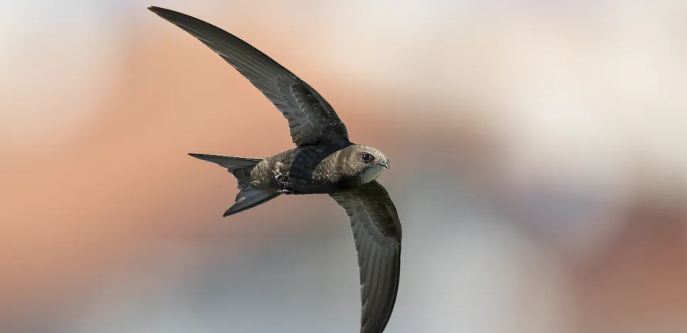 © Marcel Burkhardt © Marcel Burkhardt